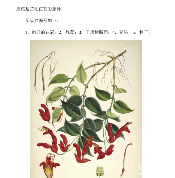 Ŀ⾫飨װ9ᣩEpub.Mobi.Azw3.PDF-5.png