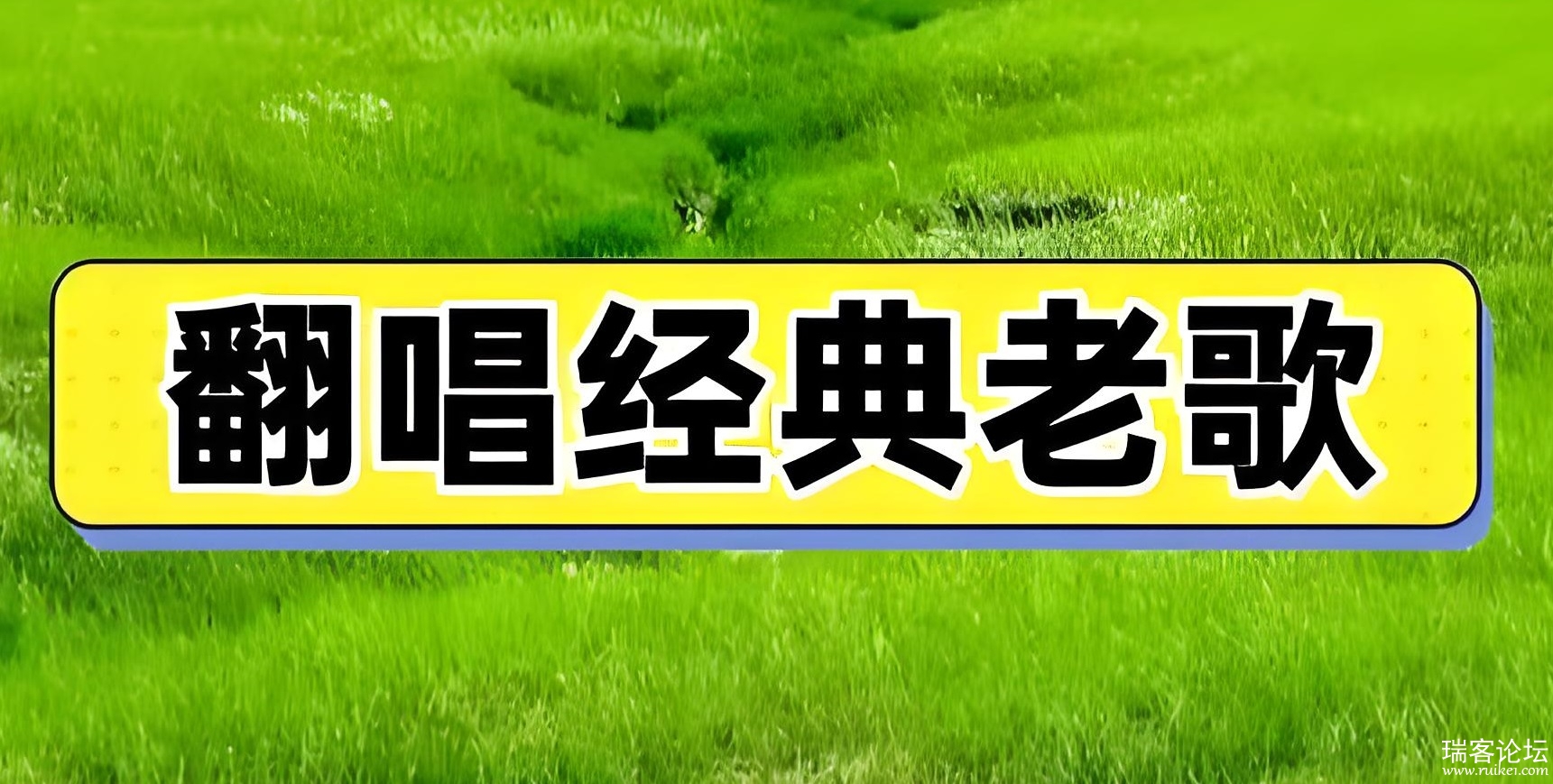 6d3ec435-725c-45d7-bf10-dfc44c34501b.jpg